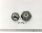 Click for 1 image(s) for this accession. FRUIT